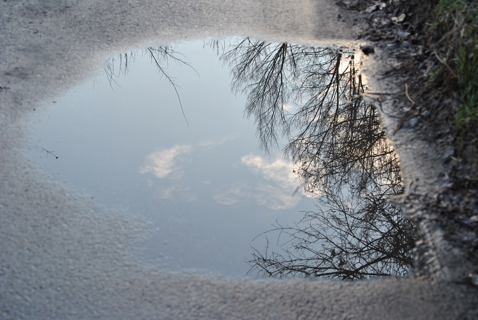 Riflesso di cielo