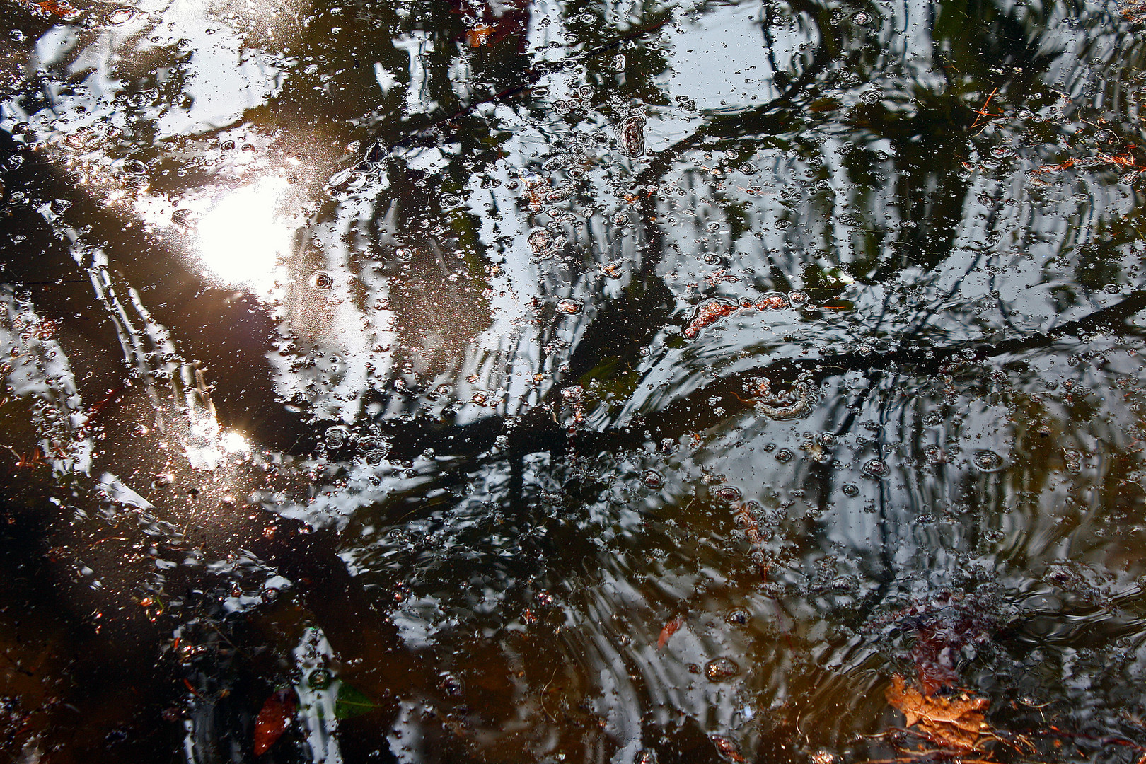 Riflesso nell'acqua