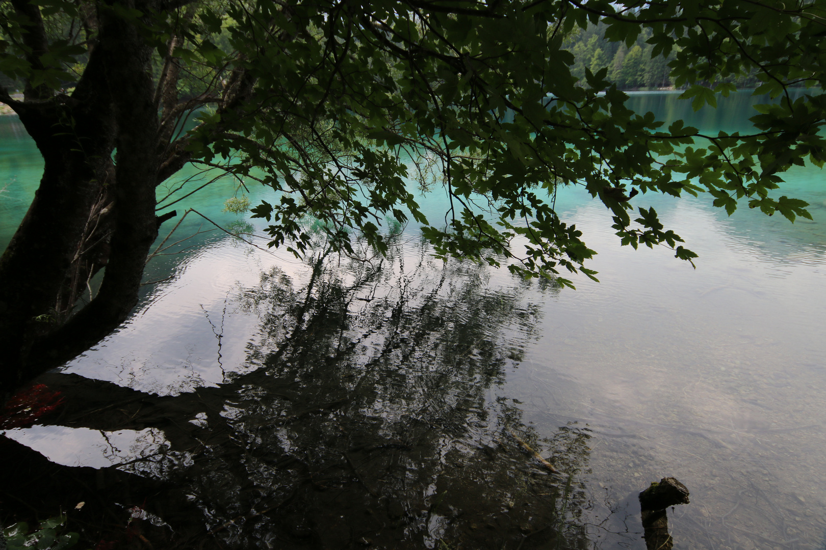 Riflesso sul lago