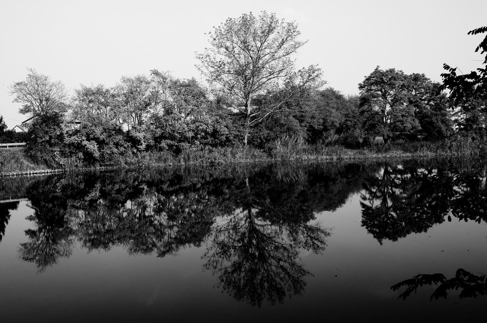 riflesso sul lago