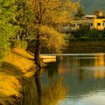 Riflesso sul lago