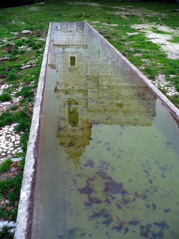 Riflettendo sull'acqua... S. Maria del bosco