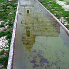 Riflettendo sull'acqua... S. Maria del bosco