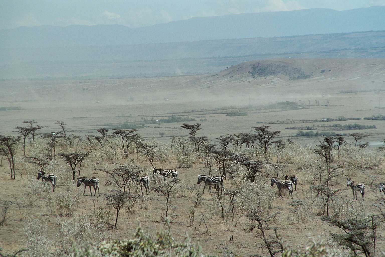 Rift Valley