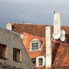 Riga roofs.