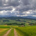 Riggisberg - Panorama