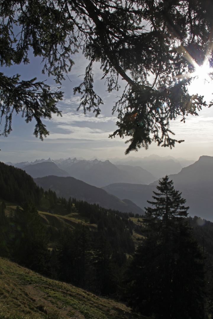 Rigi 01