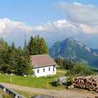 Rigi 1