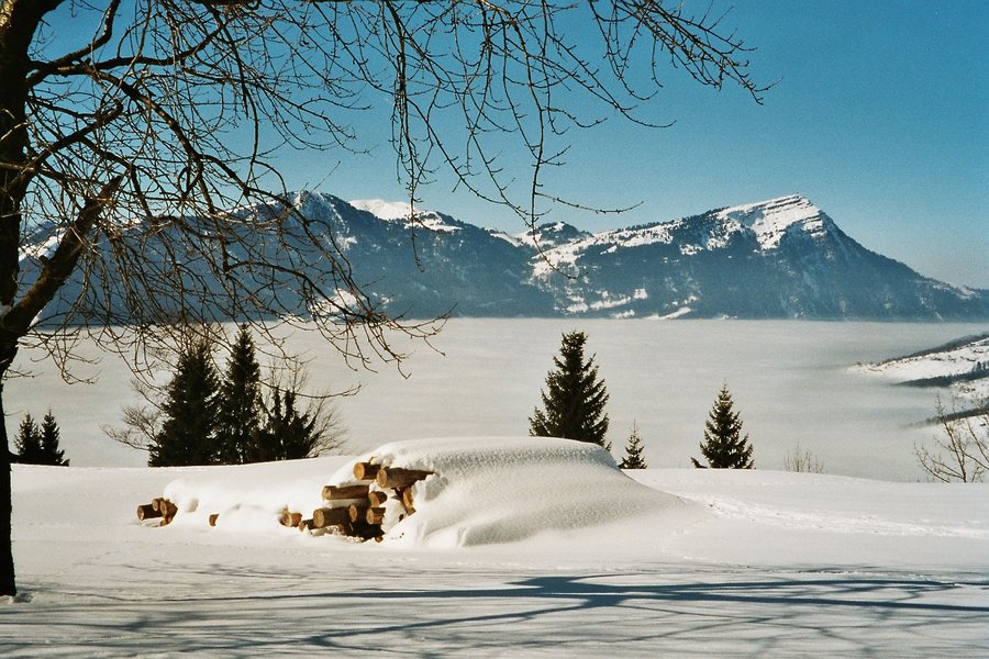 Rigi, 1800 m.ü.M.