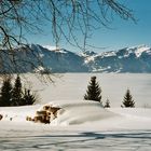 Rigi, 1800 m.ü.M.