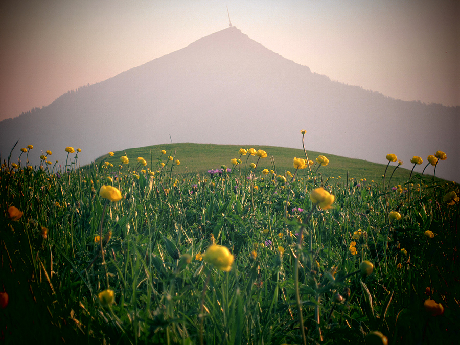 Rigi