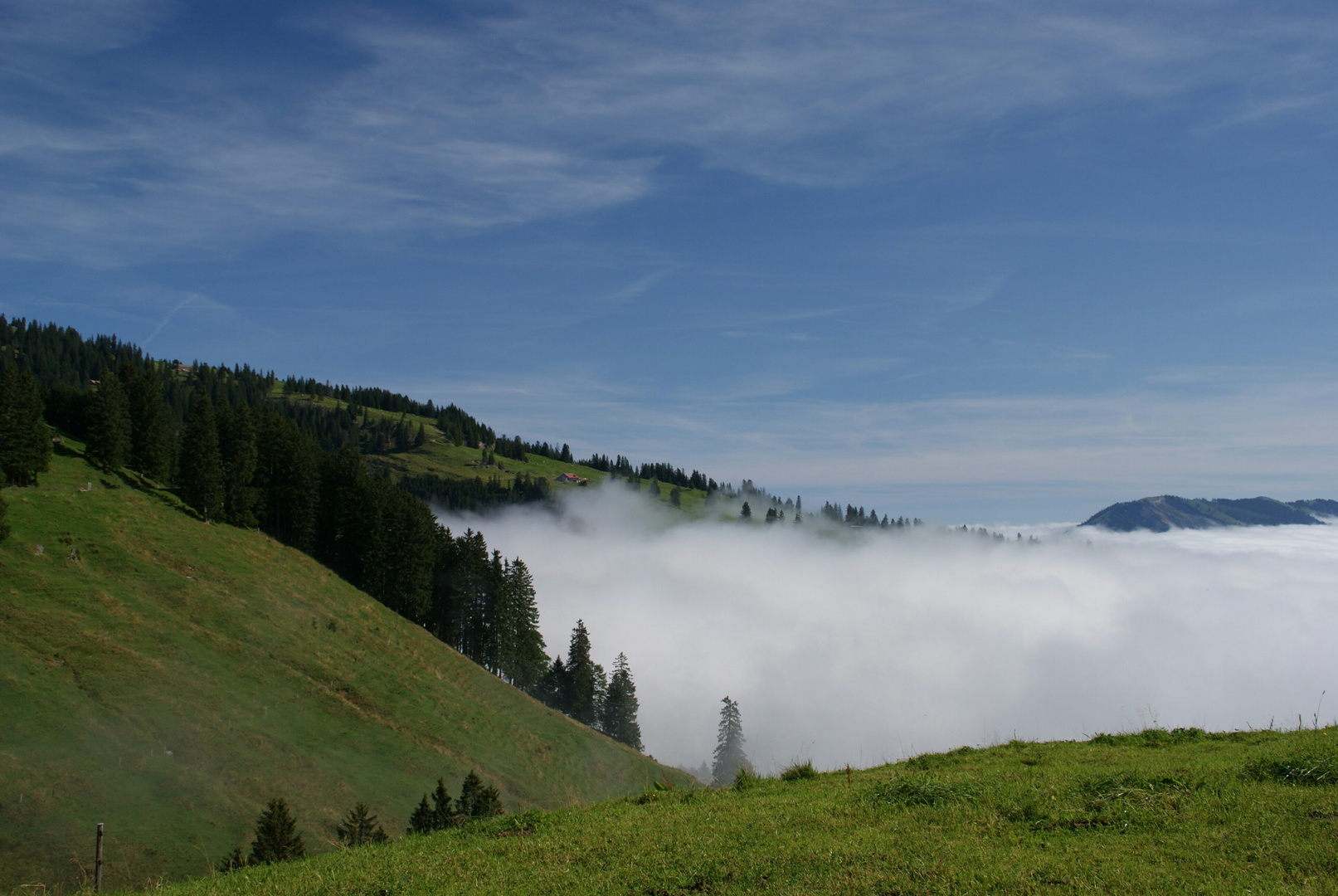 Rigi