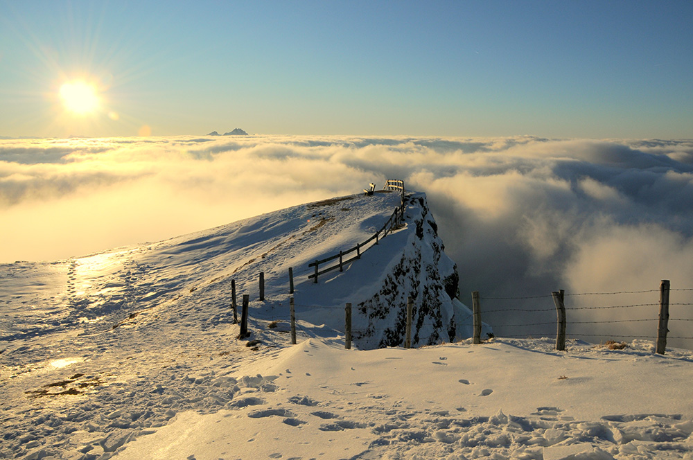 rigi