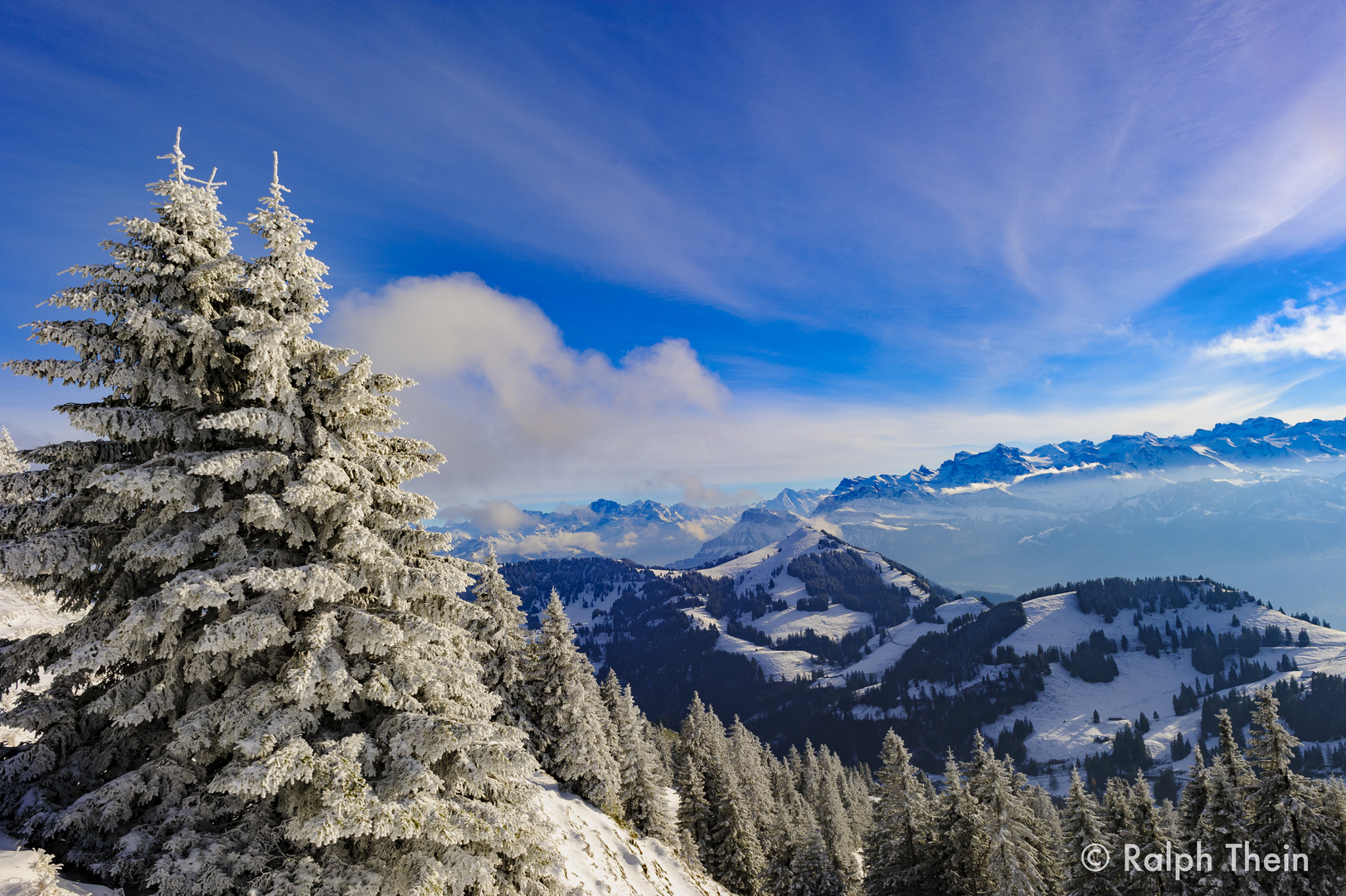 Rigi