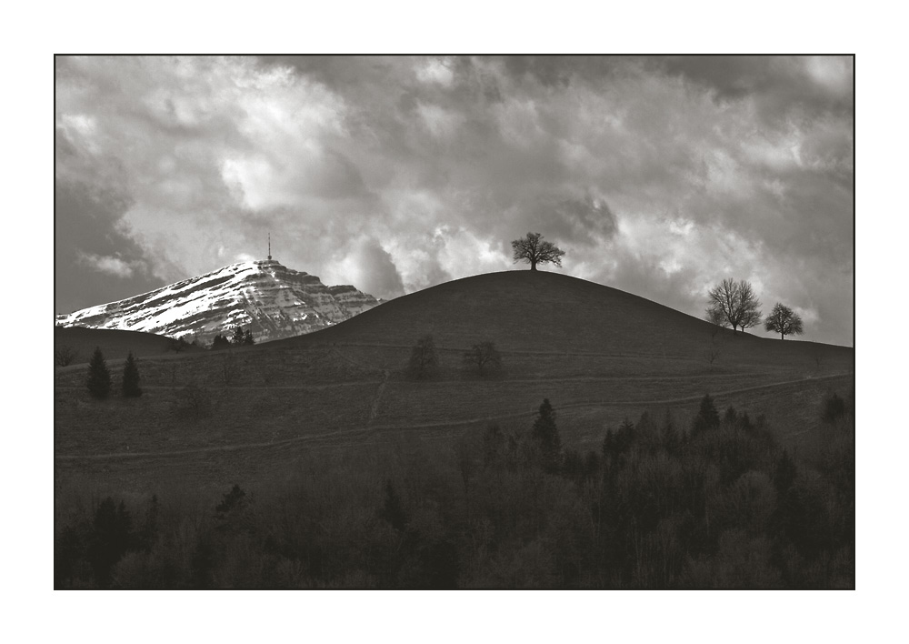 Rigi