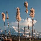 Rigi im März