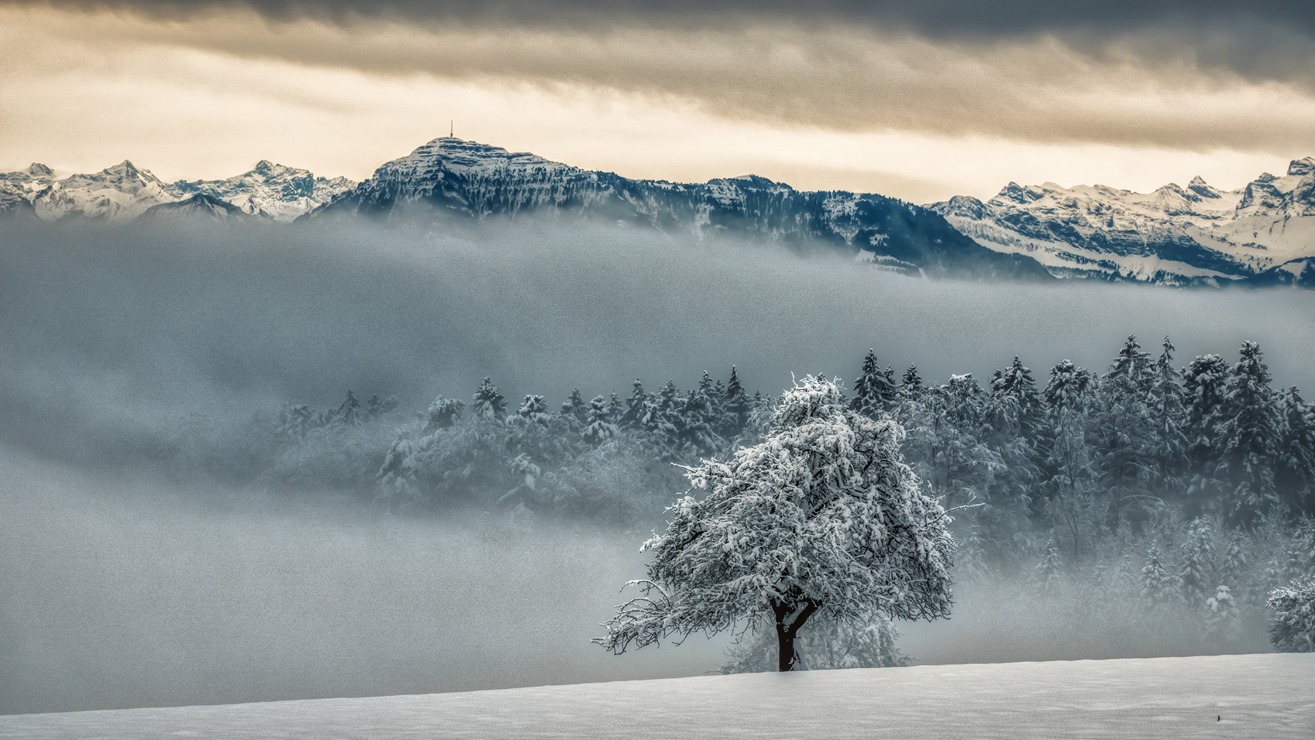 Rigi, Königin der Alpen