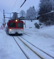 Rigi Kulm - Vitznau ...