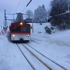 Rigi Kulm - Vitznau ...