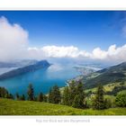 Rigi mit Blick auf den Bürgenstock 