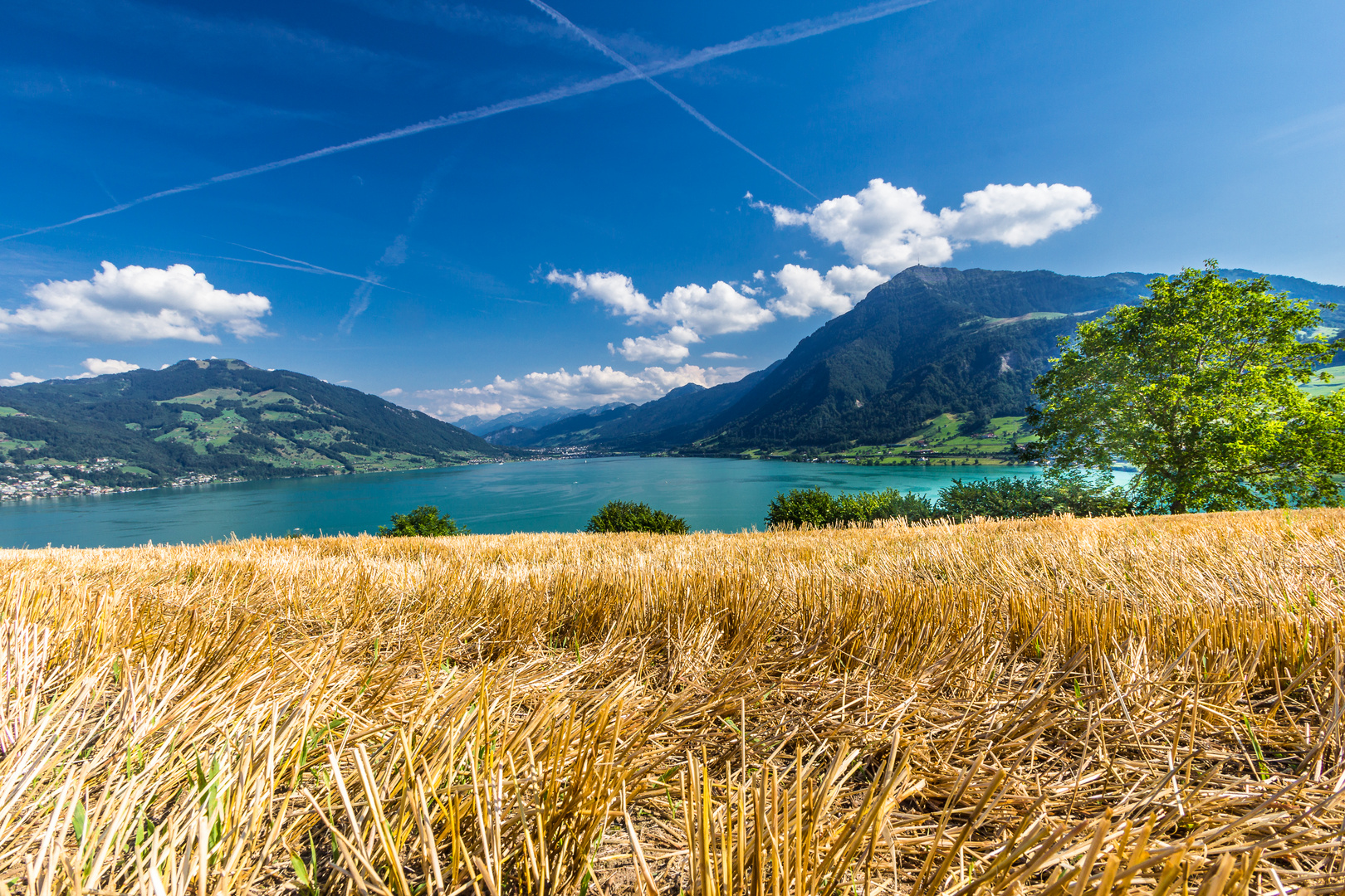 Rigi mit Stappelfeld