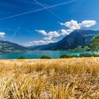 Rigi mit Stappelfeld