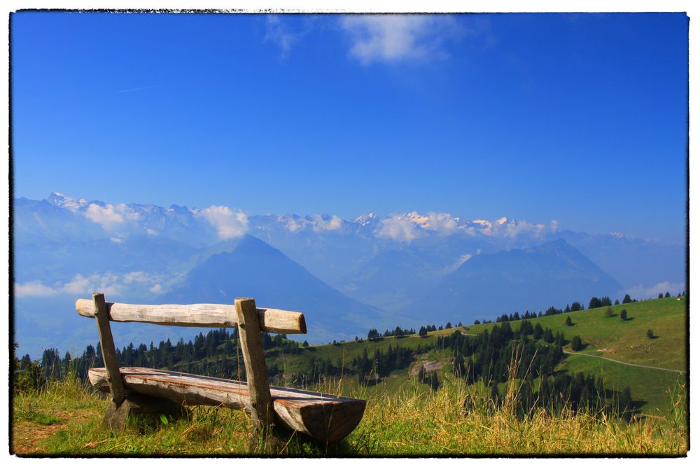 Rigi ~ Ruhe