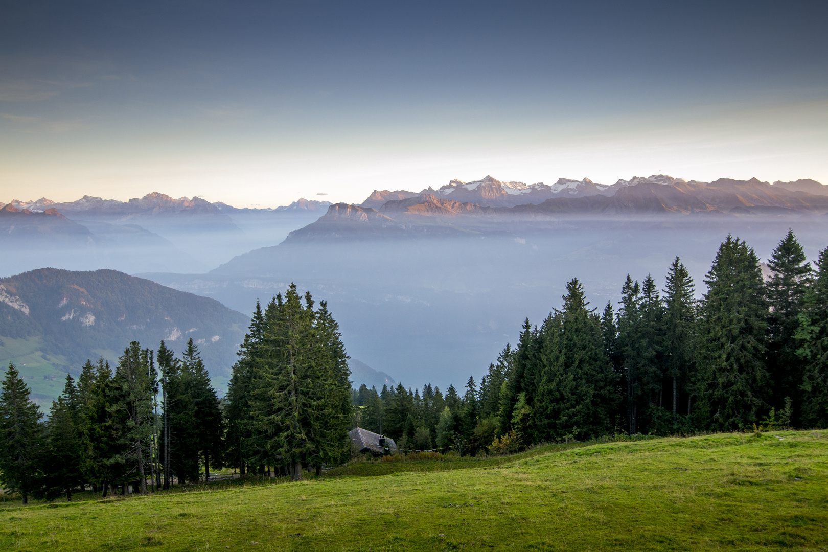 Rigi Scheidegg / Zentralschweiz III