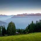 Rigi Scheidegg / Zentralschweiz III