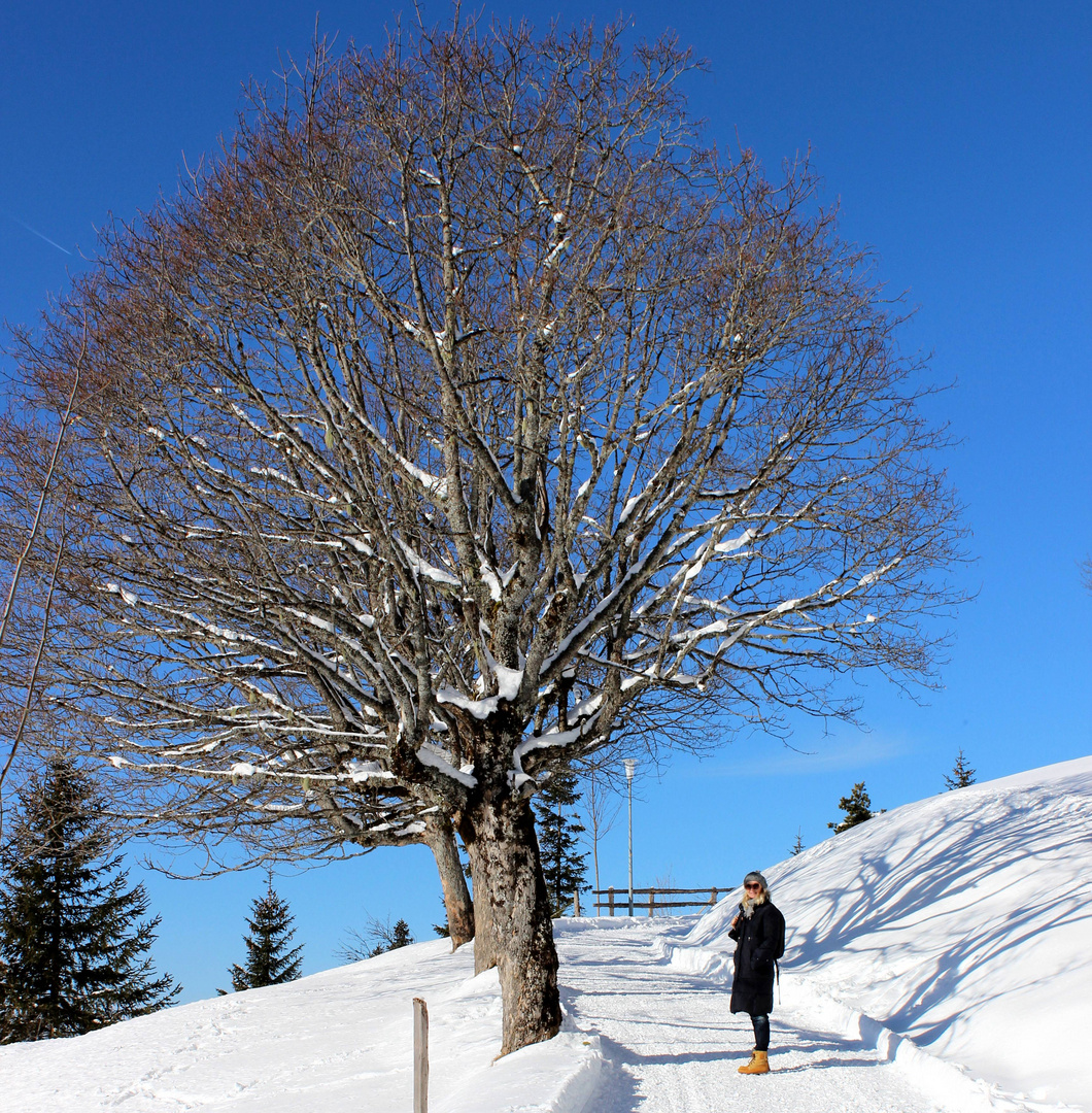 Rigi Spaziergang