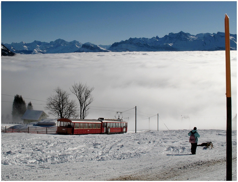 Rigi Winter