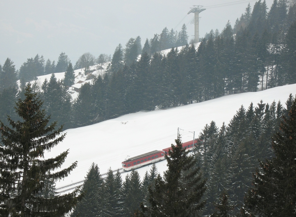 Rigi Winter III