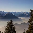 Rigi_9346