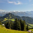 Rigiausblick Richtung Alpen