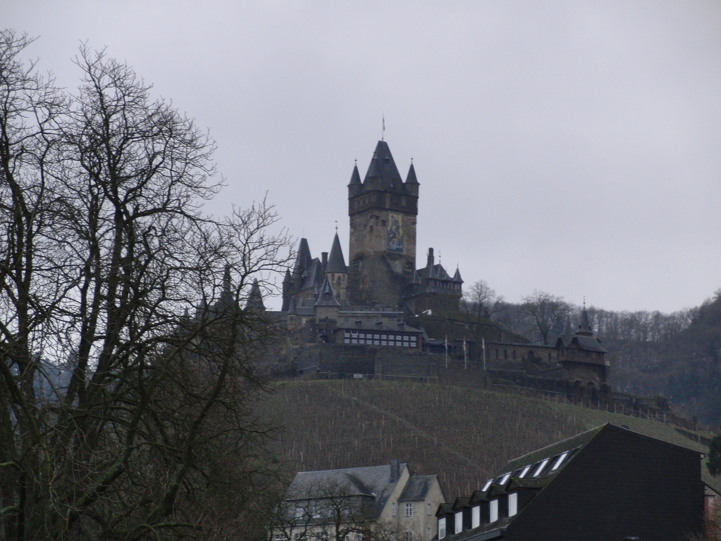 Rijksburcht Cochem