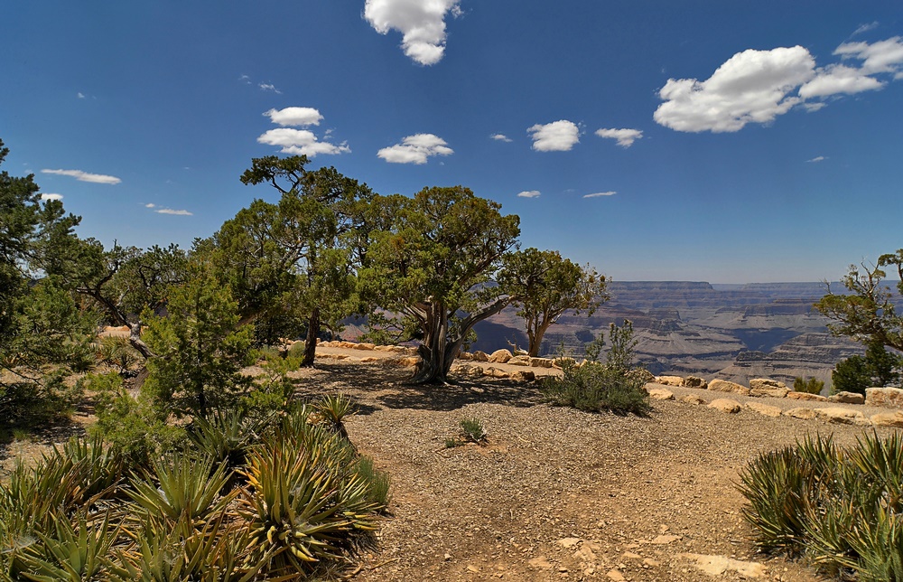 Rim view - Grand Canyon Nationalpark USA