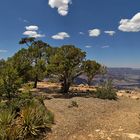 Rim view - Grand Canyon Nationalpark USA