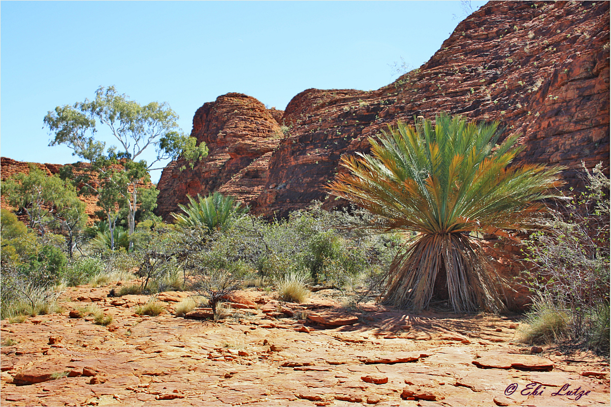 * Rim Walk over Kings Canyon *