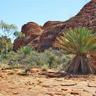 * Rim Walk over Kings Canyon *