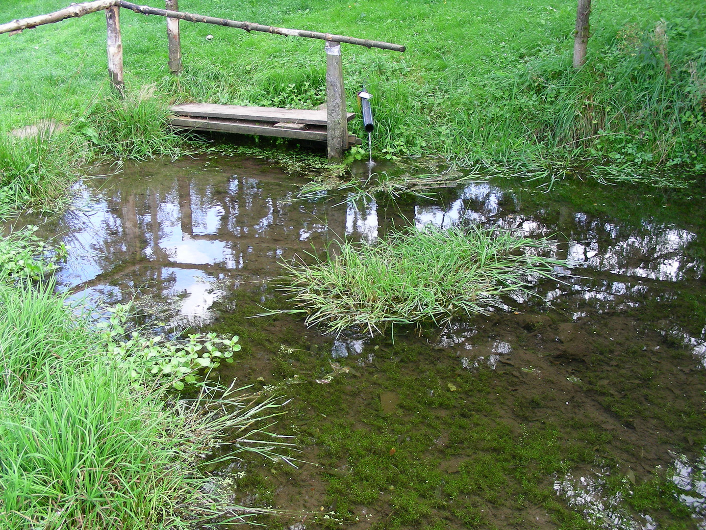 Rimbachbrunnen