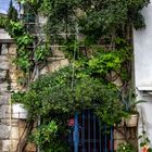 Rimcones de Rovinj -V-