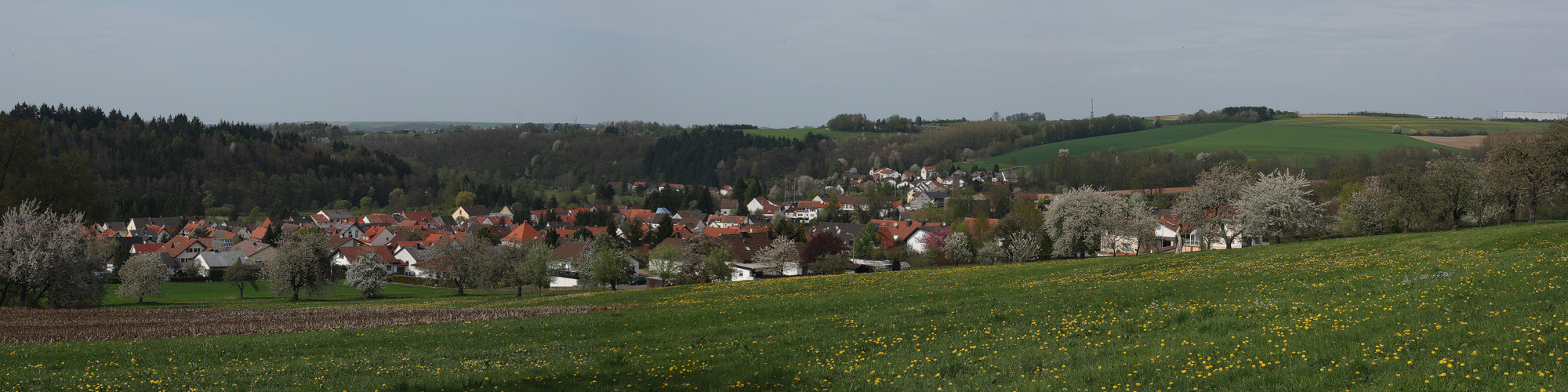 RimschCity Panorama