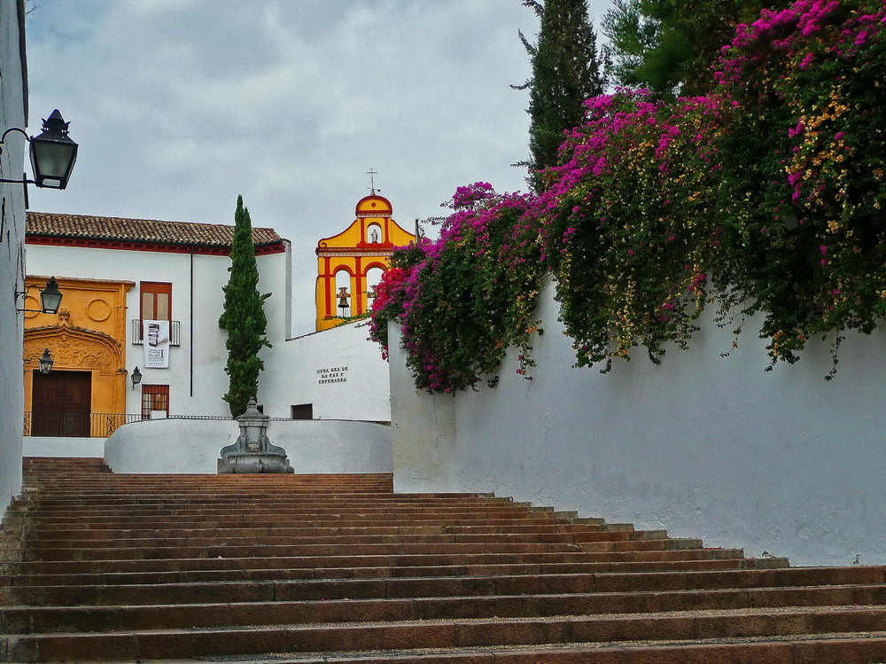 Rincón andaluz