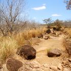 Rincon de la Vieja - Guanacaste