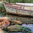 Rincón del Delta del Ebro, Tarragona.