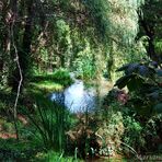 rincon del parque del monasterio de piedra