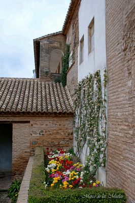 ...Rincones de la Alambra...