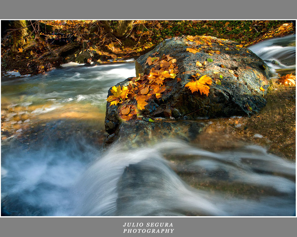 Rincones de Otoño.