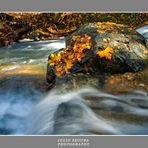 Rincones de Otoño.