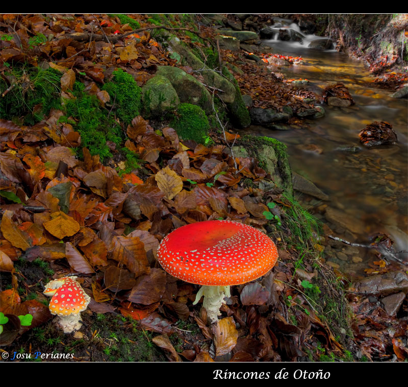 Rincones de Otoño III